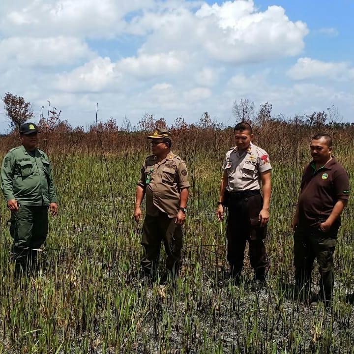 SaveClip.App_67789831_368921930676756_8981892291241576096_n