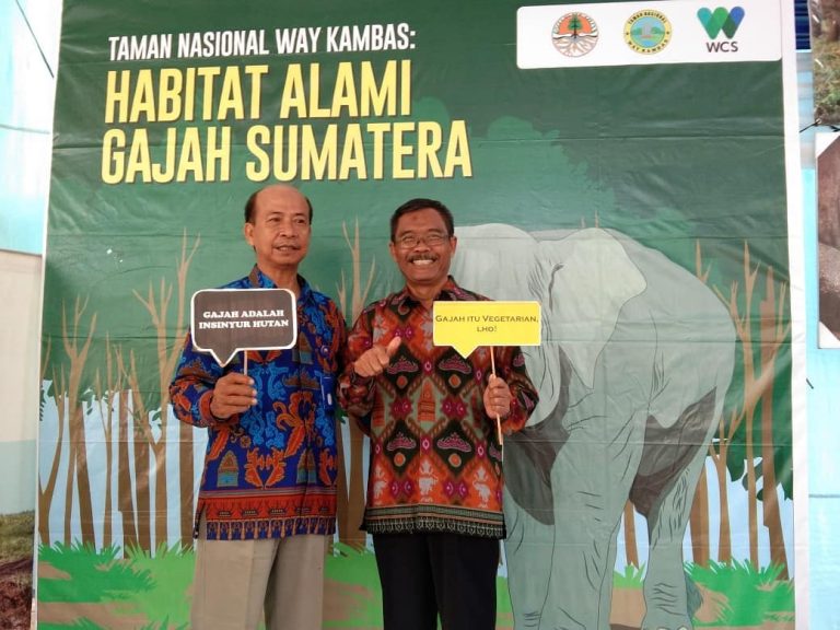 SaveClip.App_654026535_18345668776210077_8773648150828493582_n