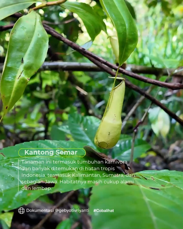 SaveClip.App_629201504_18559770664007905_7102004723934550760_n