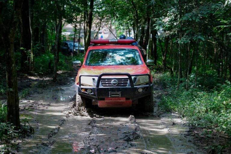 SaveClip.App_630067782_17943419793111951_2773297553696906717_n