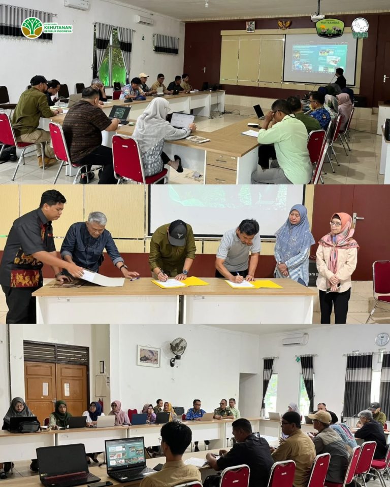 SaveClip.App_653465661_18461295043101684_8047500831109618751_n