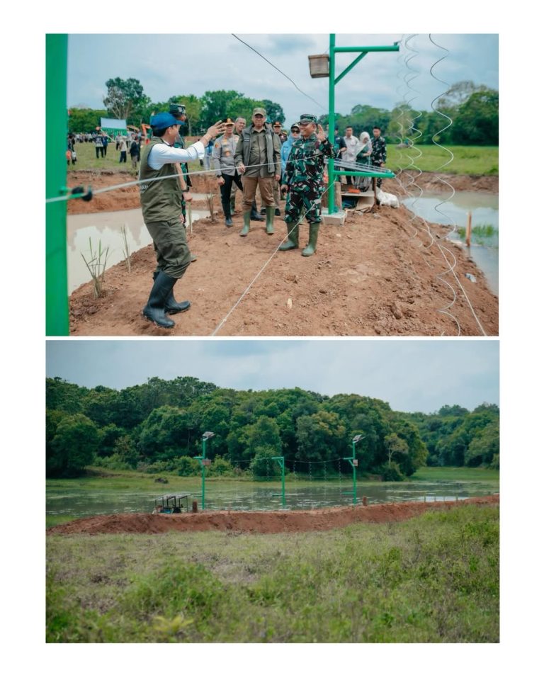 SaveClip.App_656012568_17953604892111951_1237501790772059816_n