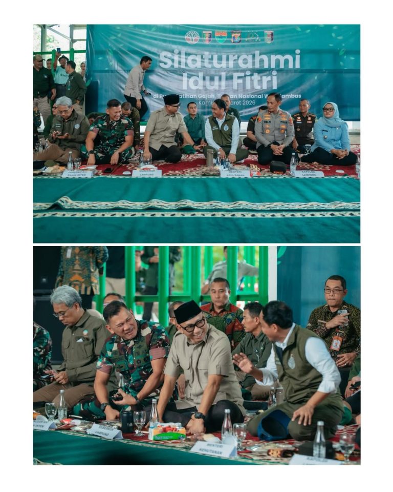 SaveClip.App_656788940_17953603878111951_6744273495378573644_n