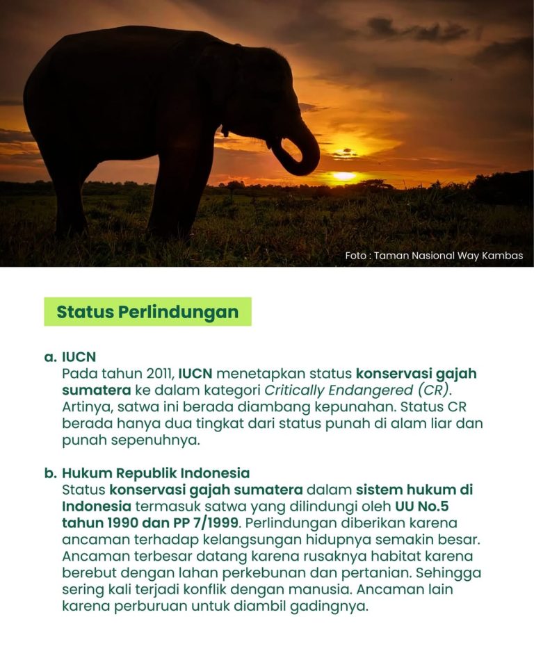 SaveClip.App_657429226_17880885285520983_5620218858444258382_n