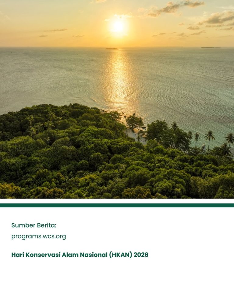 SaveClip.App_657718116_17880885276520983_7807402654869471250_n