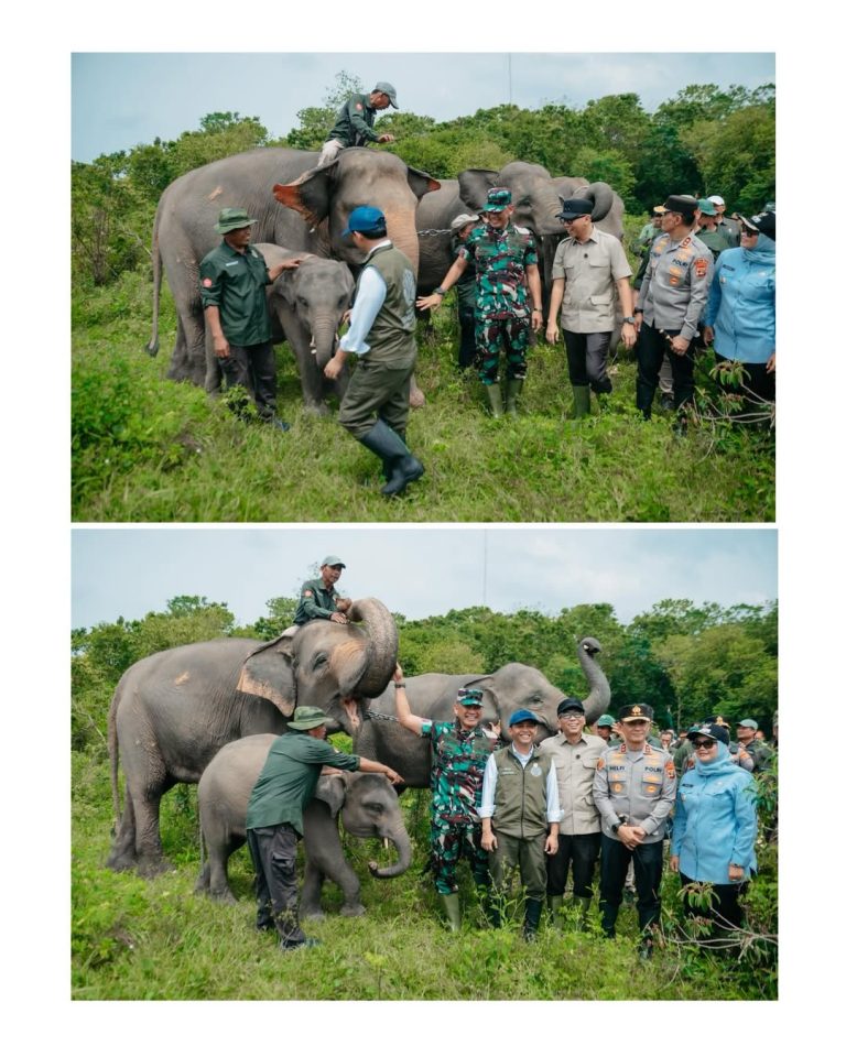 SaveClip.App_658210380_17953603899111951_3664907573068619497_n