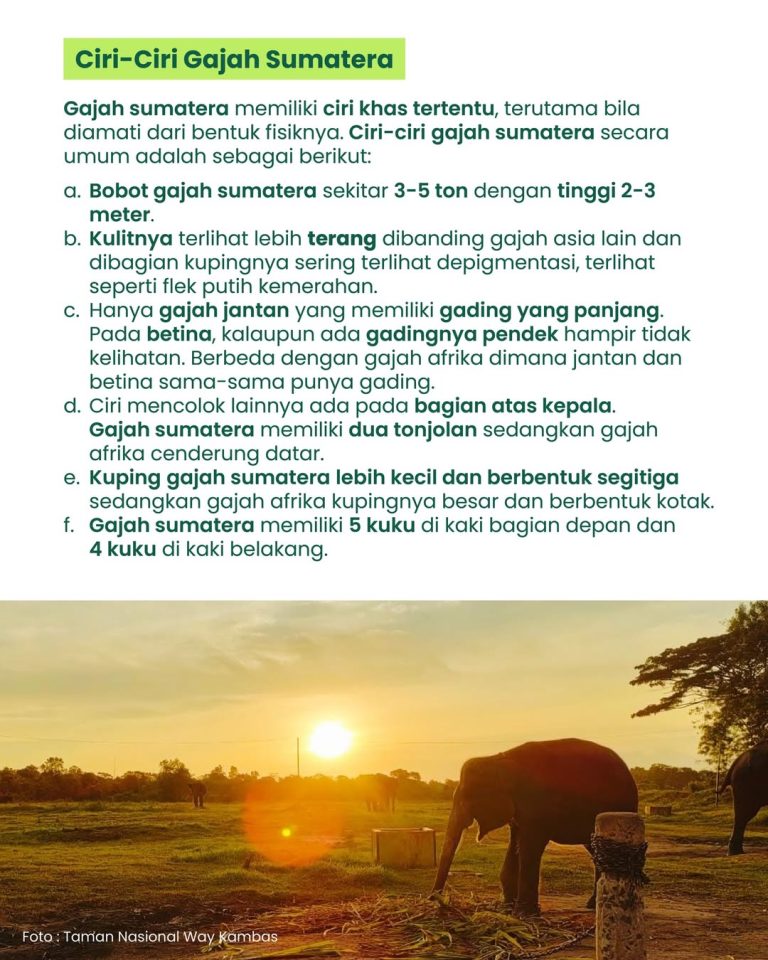 SaveClip.App_658440385_17880885249520983_7720726628726792105_n